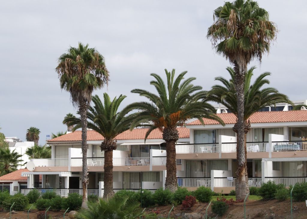 Apartamentos Paradero Playa de las Américas Extérieur photo